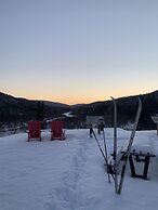 Les chanterelles de Forillon