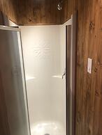 Les chanterelles de Forillon