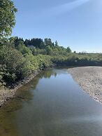 Les chanterelles de Forillon