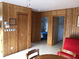 Les chanterelles de Forillon