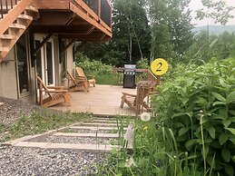 Les chanterelles de Forillon