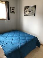 Les chanterelles de Forillon