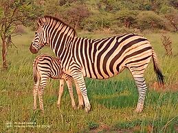 Ou Kraal tented Lodge