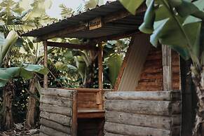 Banana Eco Camp