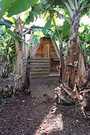 Banana Eco Camp