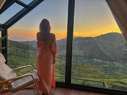 The Blackberry Cottage