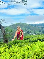 The Blackberry Cottage