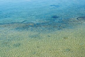 Nest Hotel Ishigaki Maesato Beach