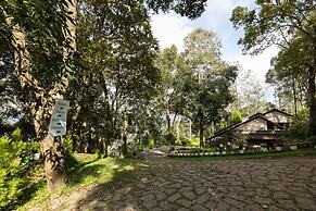 Avadale Munnar - Stag Groups Not Allowed