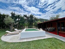 Zennova 25  Casa Mocha