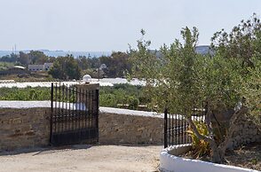 Theodora's Family Suite