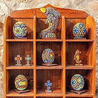 The Octopus's Garden