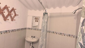 The Octopus's Garden