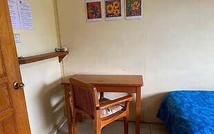 The Octopus's Garden