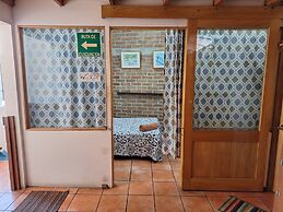 The Octopus's Garden