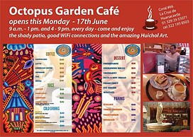 The Octopus's Garden