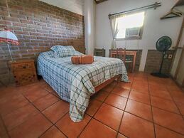 The Octopus's Garden