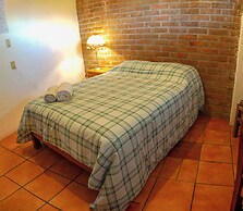 The Octopus's Garden