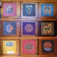 The Octopus's Garden