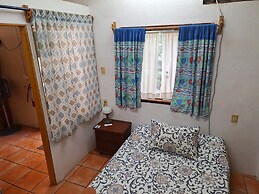 The Octopus's Garden