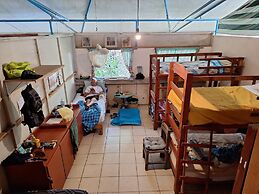 The Octopus's Garden