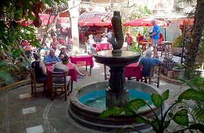 The Octopus's Garden