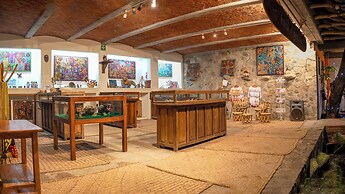 The Octopus's Garden