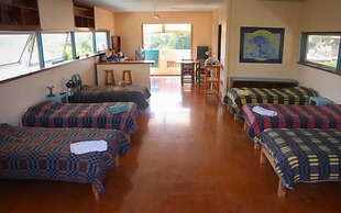 The Octopus's Garden