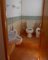 The Octopus's Garden