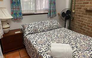 The Octopus's Garden