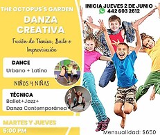 The Octopus's Garden