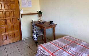 The Octopus's Garden