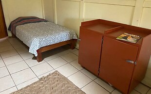 The Octopus's Garden