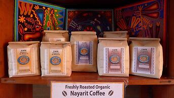 The Octopus's Garden