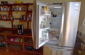 The Octopus's Garden