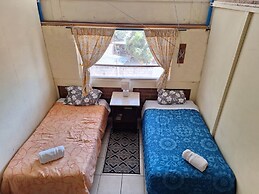 The Octopus's Garden