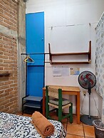 The Octopus's Garden