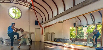 The Octopus's Garden