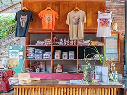 The Octopus's Garden