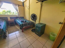 The Octopus's Garden