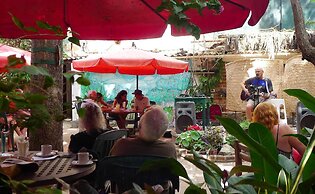 The Octopus's Garden