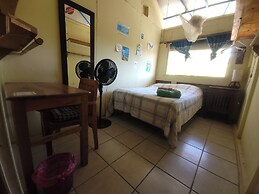 The Octopus's Garden