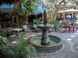 The Octopus's Garden