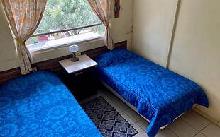 The Octopus's Garden