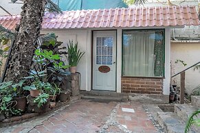 The Octopus's Garden