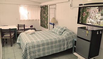 The Octopus's Garden