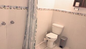 The Octopus's Garden