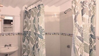 The Octopus's Garden