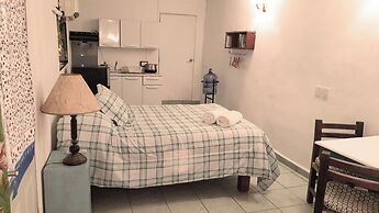 The Octopus's Garden