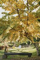 Sítio Cogumelos Montanhês